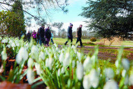 Major restoration planned at 'hidden gem' memorial gardens