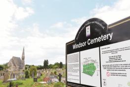 Royal Borough unsure who is responsible for rat problems on council owned land