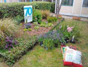 Wexham Park Hospital garden spruced up by volunteer