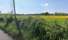 Hurst 99 homes plan would cause rural village 'cumulative harms', inspector says