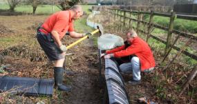 New barrier takes shape to prevent toads crossing