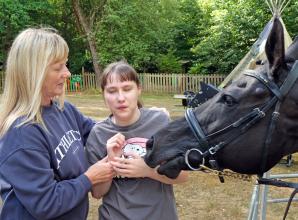 Horsing around: Racehorse visits children’s special needs day centre