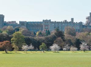 RBWM rejects cross-party letter calling for more scrutiny around Home Park decision