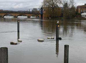High river levels in Henley