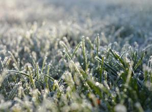 Ice warning for the South East announced