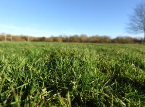 First consultation sets ball rolling for potential Braywick Park stadium move