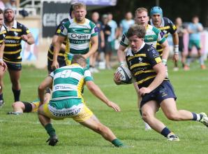Henley Hawks run riot in final quarter to blow Havant away