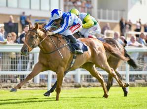 Murphy and Marquand back in the winner's enclosure at Windsor Races