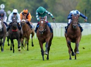 False start chaos at Windsor Races sees five jockeys banned