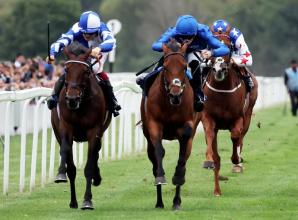 Outsiders Arabian Crown and Silawi upset the odds in feature races at Windsor
