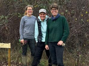 Festival plants tree as part of 50th year celebration