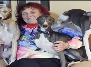 Dogs in the running to be champions at Crufts