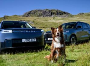 Climate function to keep your dog cool in car