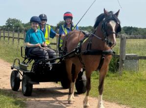 Woman honoured for fight to keep carriage riding