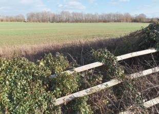 Public notices: Plans for Woodlands Park grow as &lsquo;greybelt&rsquo; proposal reaches 300 homes