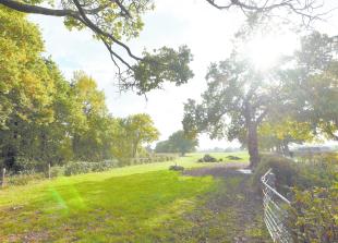 Council aims for 30% of Royal Borough 'managed for nature' in environment strategy