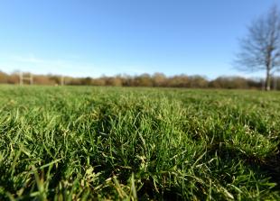 Braywick Park proposals 'no longer a Maidenhead United takeover', council leader says