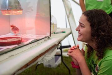 Record crowds flock to Ascot for falconry displays and butterfly walks