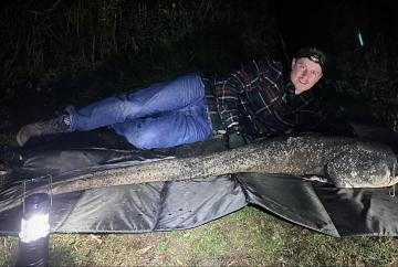 Anglers catch 6ft 4 ‘monster’ catfish, breaking the weighing scales