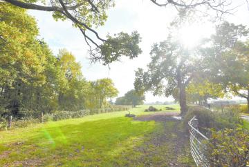 Council aims for 30% of Royal Borough 'managed for nature' in environment strategy