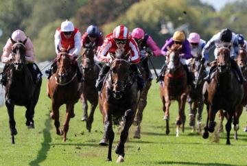 Hilitany hits top gear again at Windsor Races