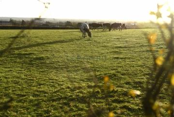 &lsquo;Horrified&rsquo; villagers fear Burnham will be &lsquo;unliveable&rsquo; if 800-home plan approved, meeting hears