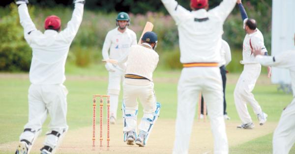 Slough Cricket Club wants to build third pitch at Upton Court Road ground - Slough Express