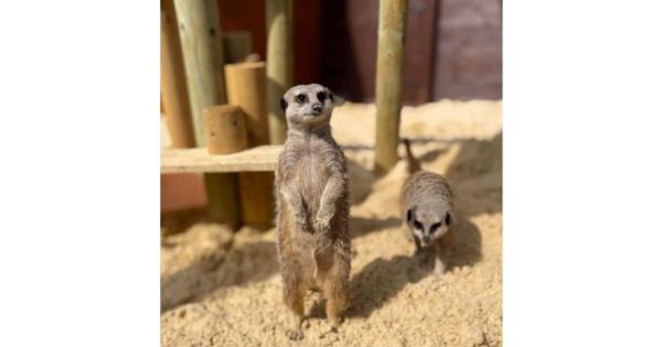 Cookham zoo at loggerheads with council after licence refusal