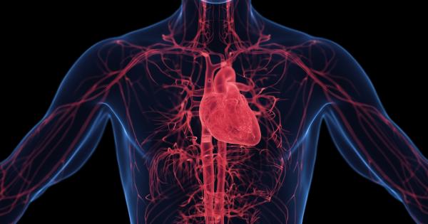 SPONSORED: Research shines a light on air pollution&rsquo;s impact on heart health