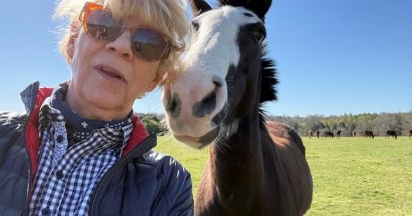 Horse guide bridges gap between nutrition and behaviour