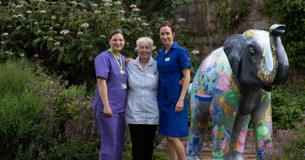Decorated elephant sculptures to go on display in aid of Thames Hospice