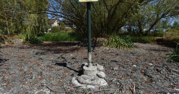 Drought confirmed in Royal Borough and Slough