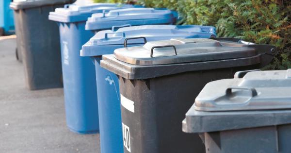 Eco Matters: New year, new mini bin