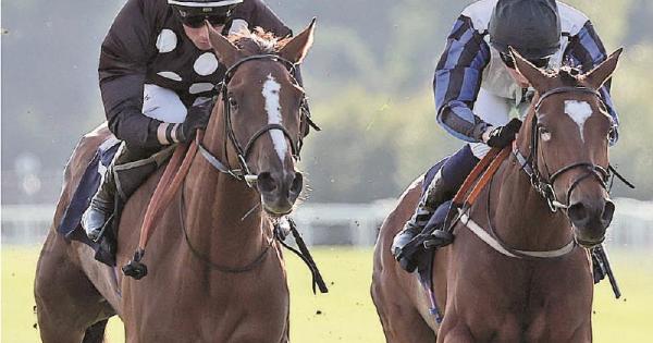 Rossa Ryan brings up a century of winners with Galaxy Princess victory at Windsor