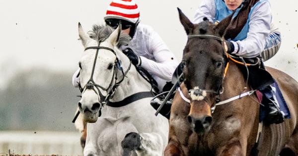 Live racing and countryside entertainment as Berkshire Winter Millions returns