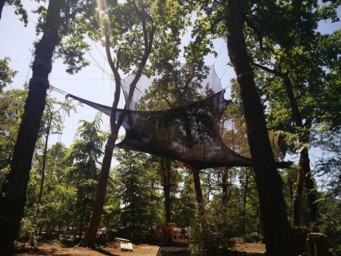 Go Ape set to launch first Kingdom’ in Black Park Photo 1 of 3