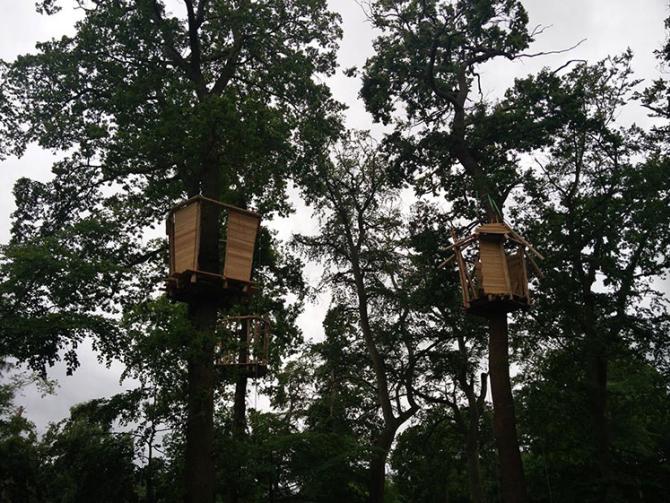 Go Ape set to launch first Kingdom’ in Black Park Photo 1 of 3