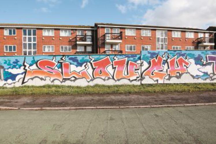 Mural in Langley honours NHS, key workers and volunteers ...