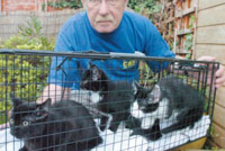 Slough's feral cats warning Slough Express