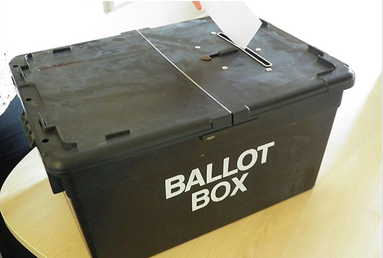 Lord Buckethead to stand in Maidenhead at general election