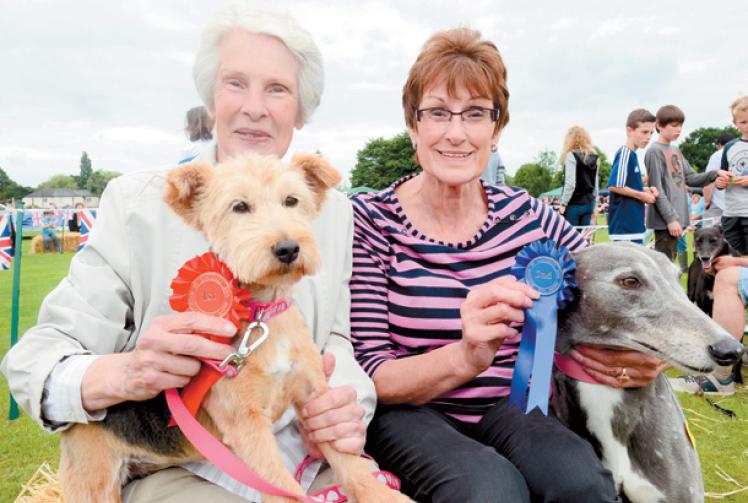 Popular dog show returns for Waltham St Lawrence fete this weekend Slough Express
