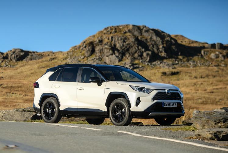 RAV4 revels in cleanliness
