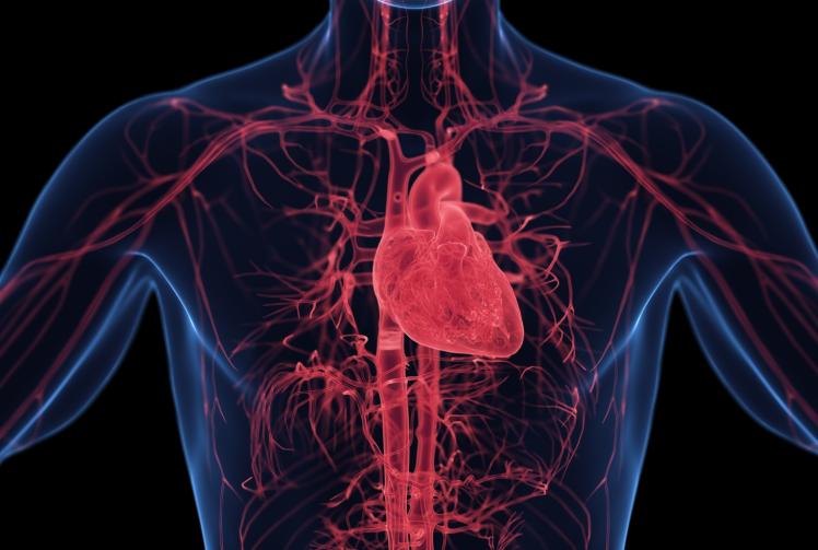 SPONSORED: Research shines a light on air pollution&rsquo;s impact on heart health