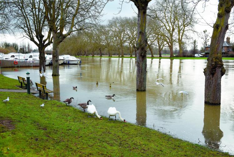 Royal borough councillor questions delivery of £10m pledge for flood alleviation