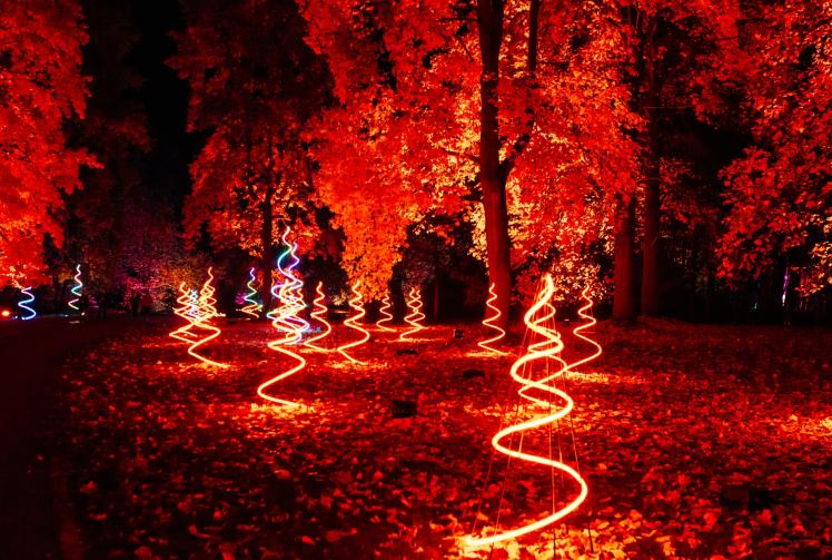 Winter Wonderland creators bring popular light trail back to Windsor