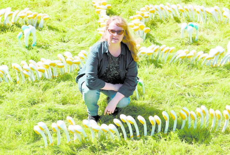 Artists and archaeologists to unite at medieval Cookham site for two-day celebration of culture and heritage