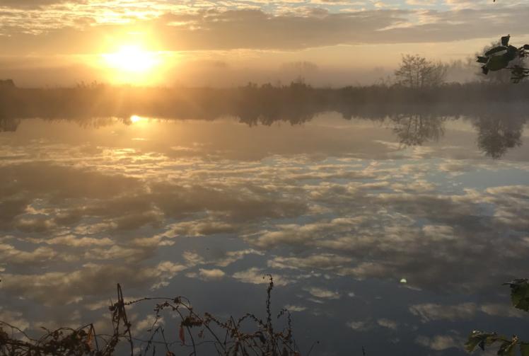 River writes: It&rsquo;s not na&iuml;ve to re-evaluate approach to nature  