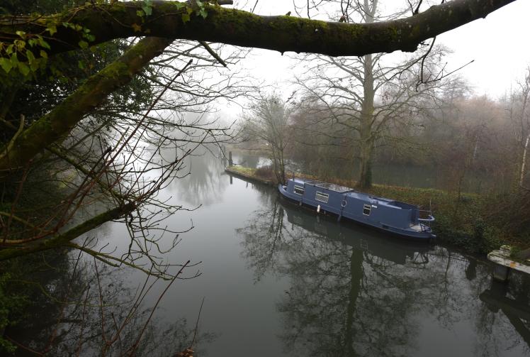 Call for better regulation to fix "failure" of safeguarding River Thames from pollution