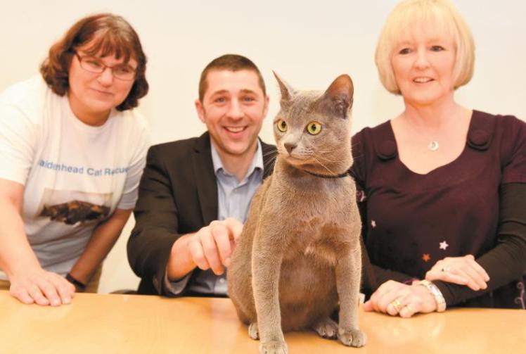 New indoor pen for Maidenhead Cat Rescue thanks to Louis Baylis Trust grant