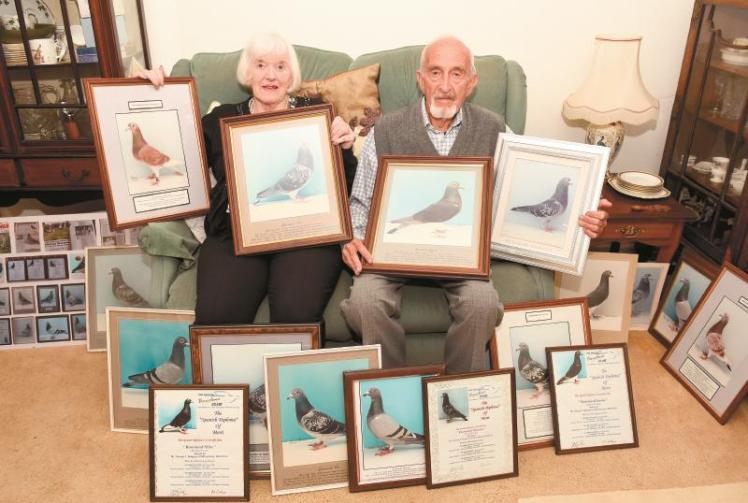 Wraysbury pigeon racer, 87,  shares his secrets about the sport